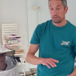 Intervention autour des abeilles